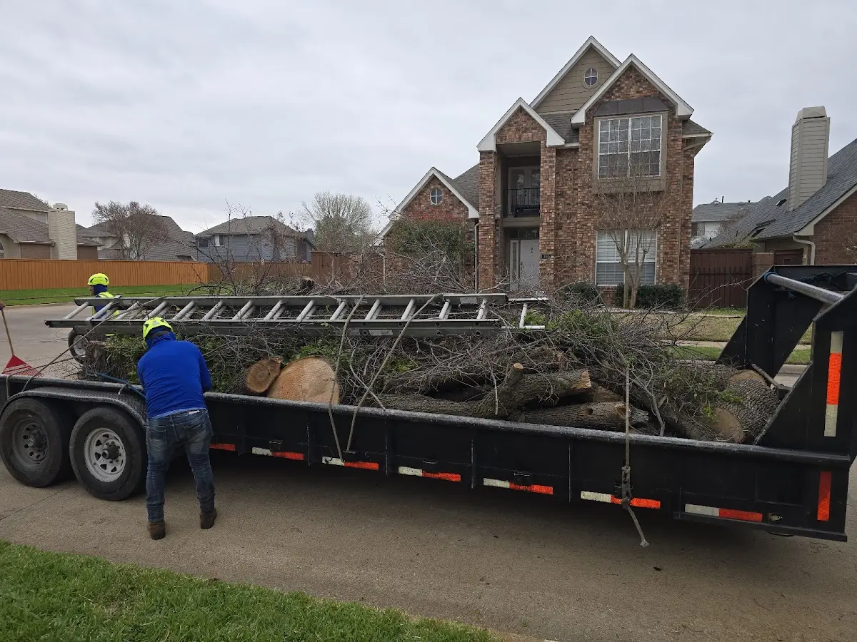 Expert Lot Clearing with proper safety equipment in Bruce